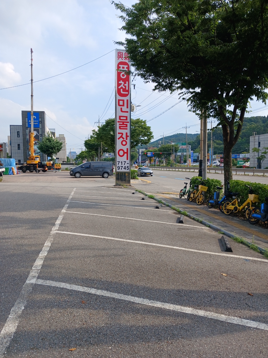 풍천민물장어 사진 3