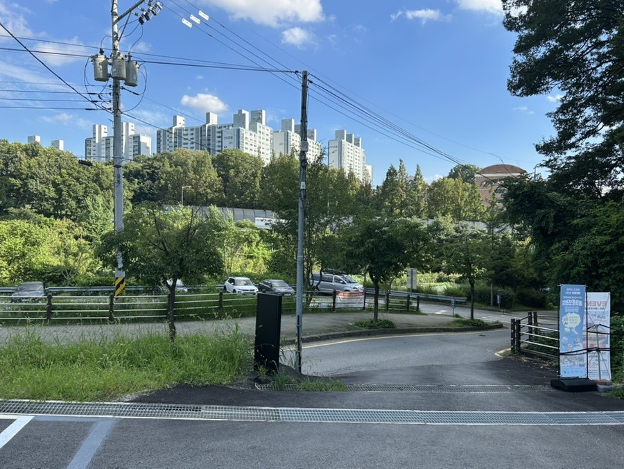 메온 사진 3