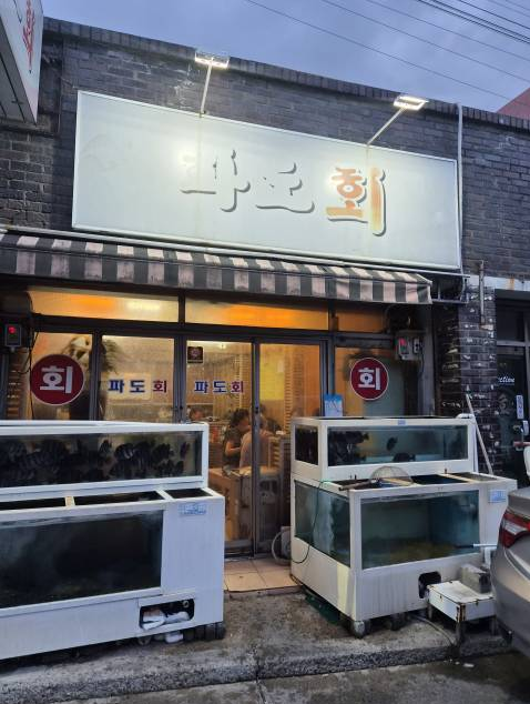 파도회 사진 2