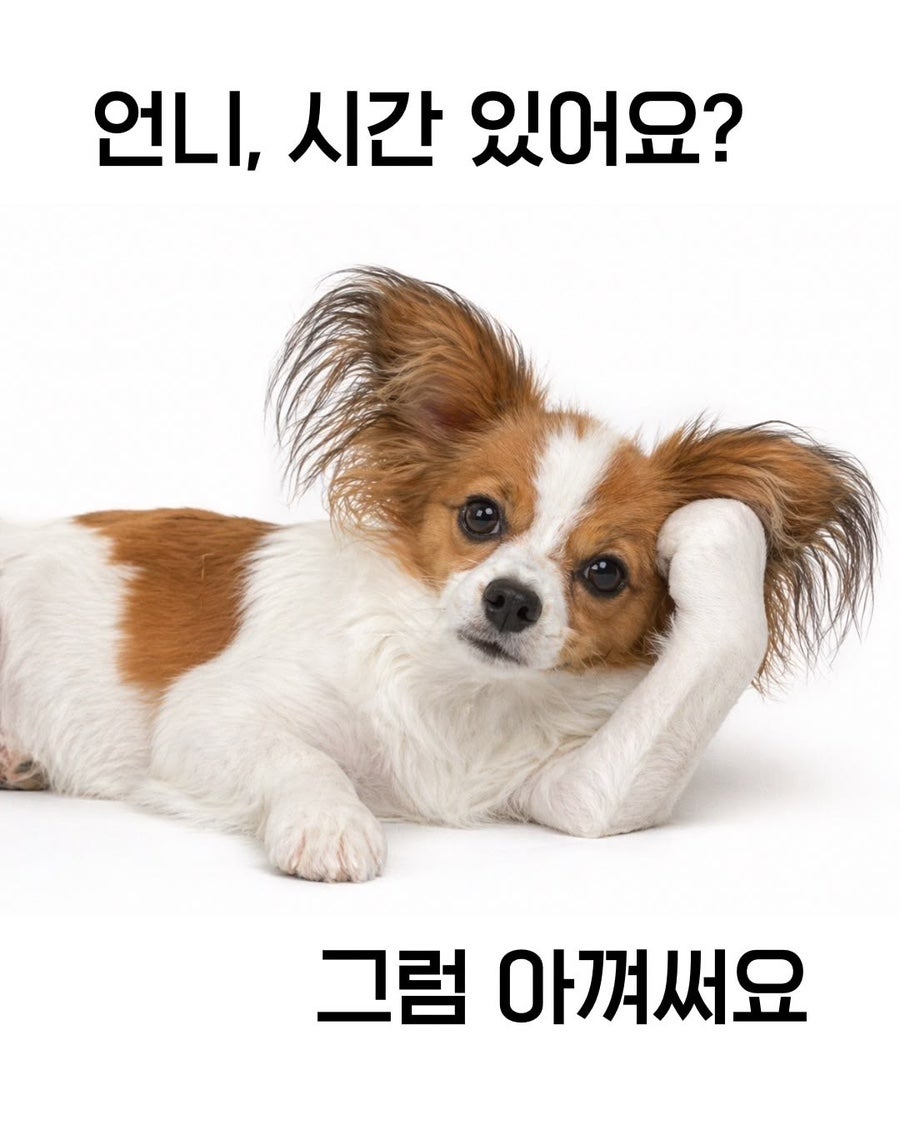 보성웰빙식당 사진