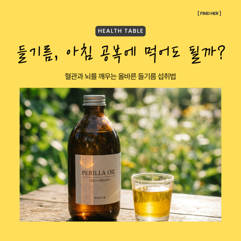 들기름 효능, 아침 공복에 그냥 먹어도 될까? 혈관과 뇌 건강 깨우는 하루 1스푼 정량 섭취법