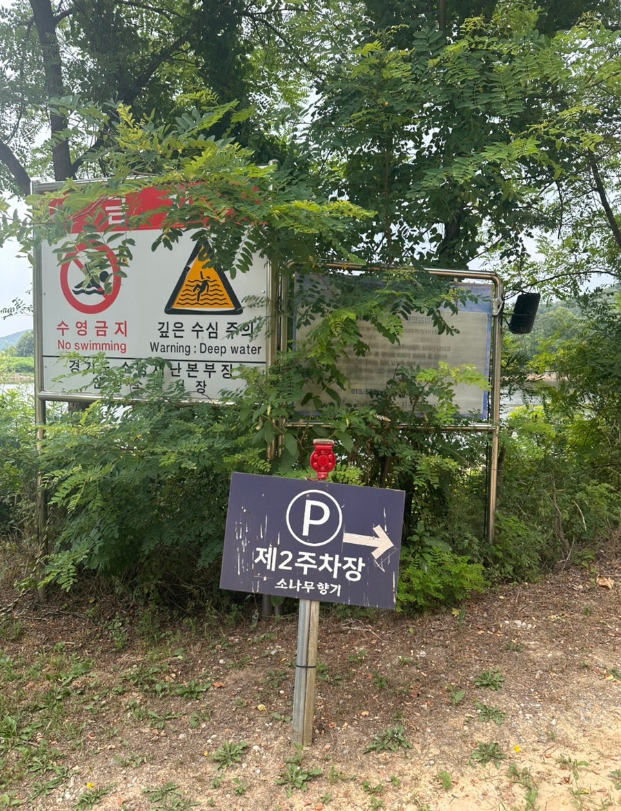 소나무향기 사진 4