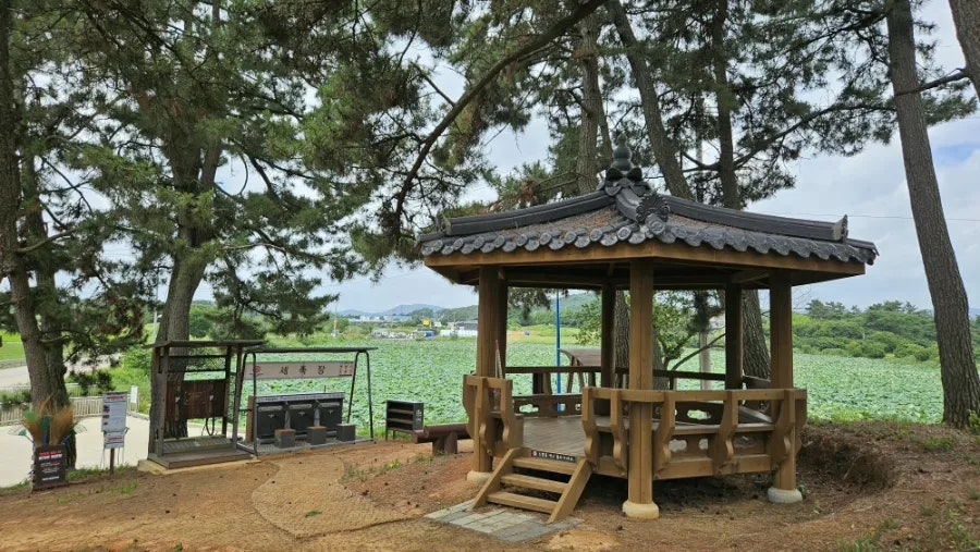 신세계화원 사진 6