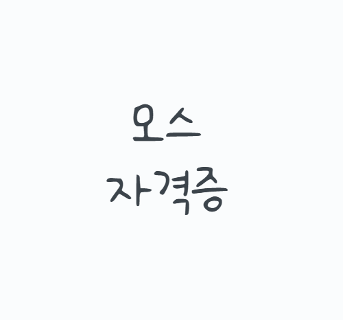 모스자격증, 엑셀 하나만 따도 될까? 2026년 MOS 365 전환부터 시험과목, 합격기준, 유효기간과 ....