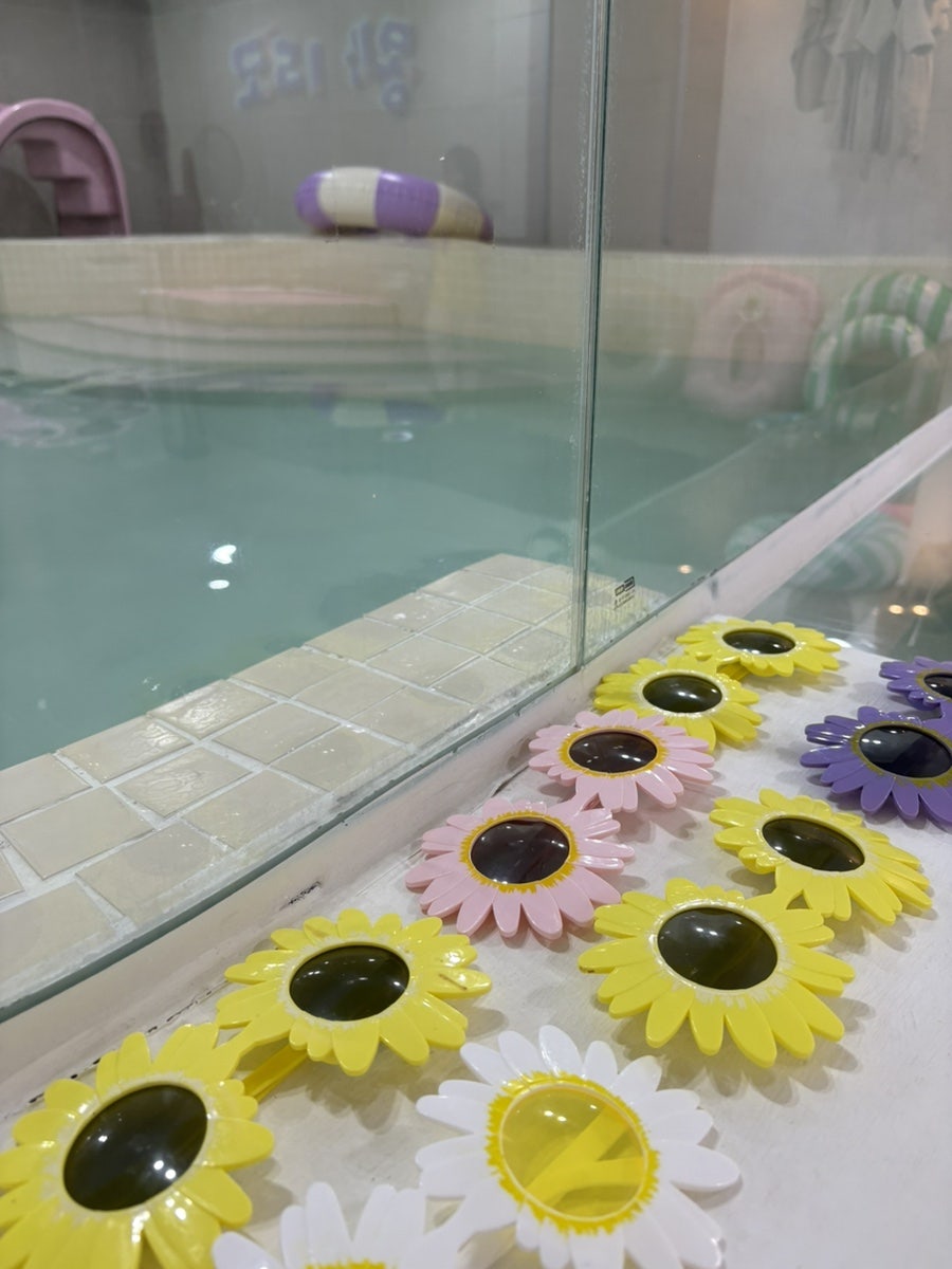 오리둥둥 사진 5