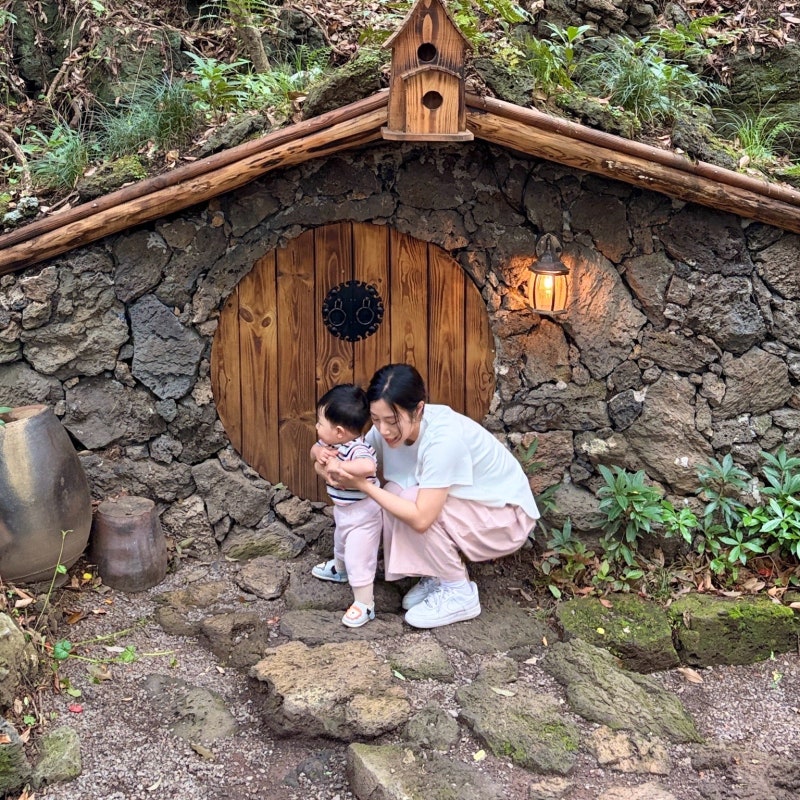 8월 제주도 여행 비올때 갈만한곳 제주 산양큰엉곶 곶자왈 숲길 체험 아기랑 가볼만한곳