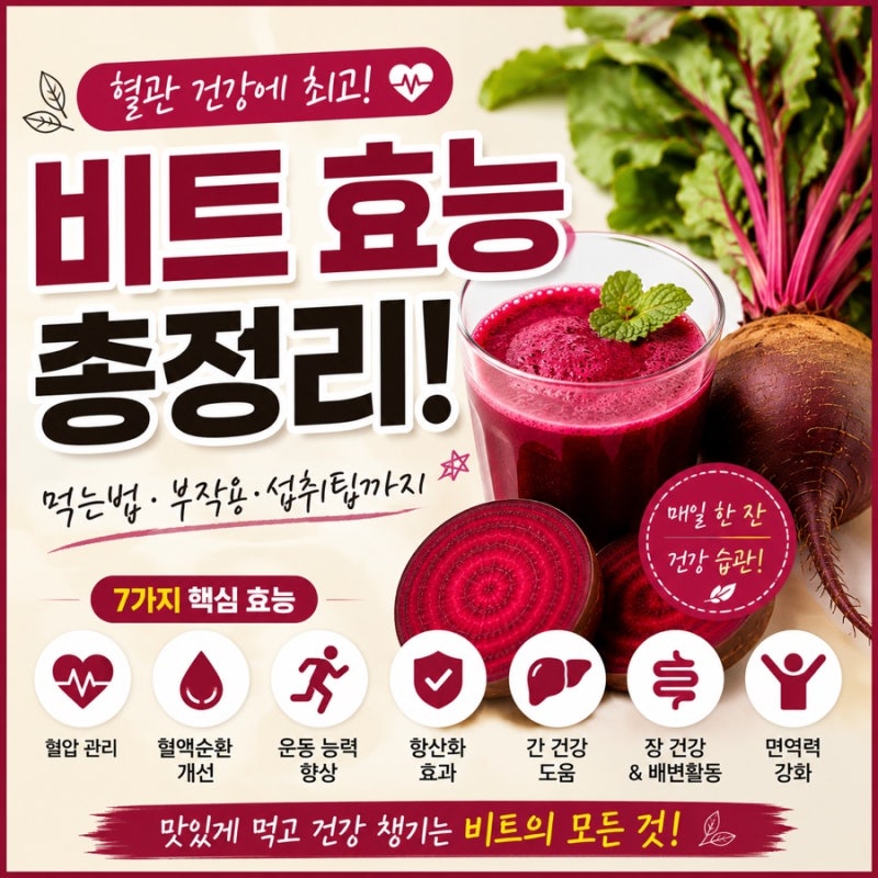 비트 효능, 혈관 건강에 좋다고 알려진 이유! 제대로 먹는 법부터 부작용까지 총정리