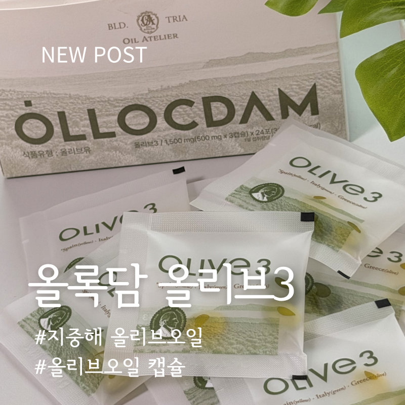올록담 올리브3, 올리브오일 캡슐 진짜 엑스트라버진 고르는 법 후기