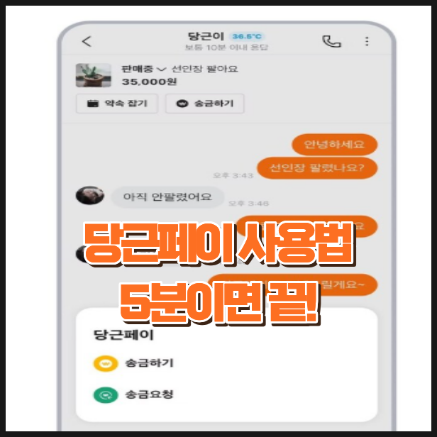 당근페이 사용법 총정리, 가입부터 충전·송금까지 쉽게 알아보기