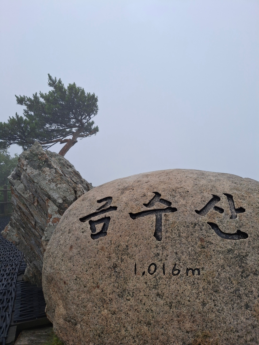 금수산 사진 1