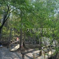 지투캠핑장 사진 2