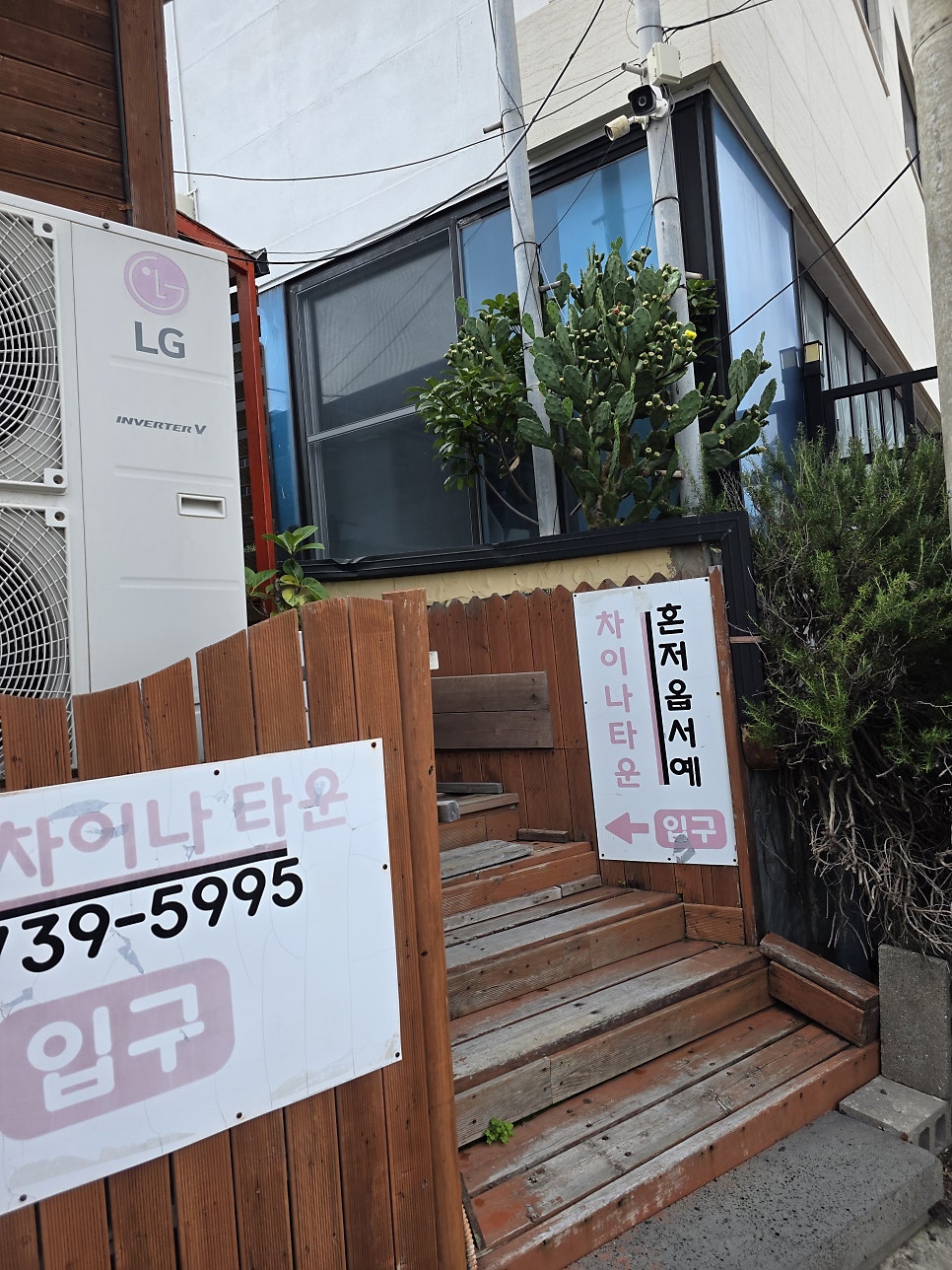 올레차이나타운 사진 3