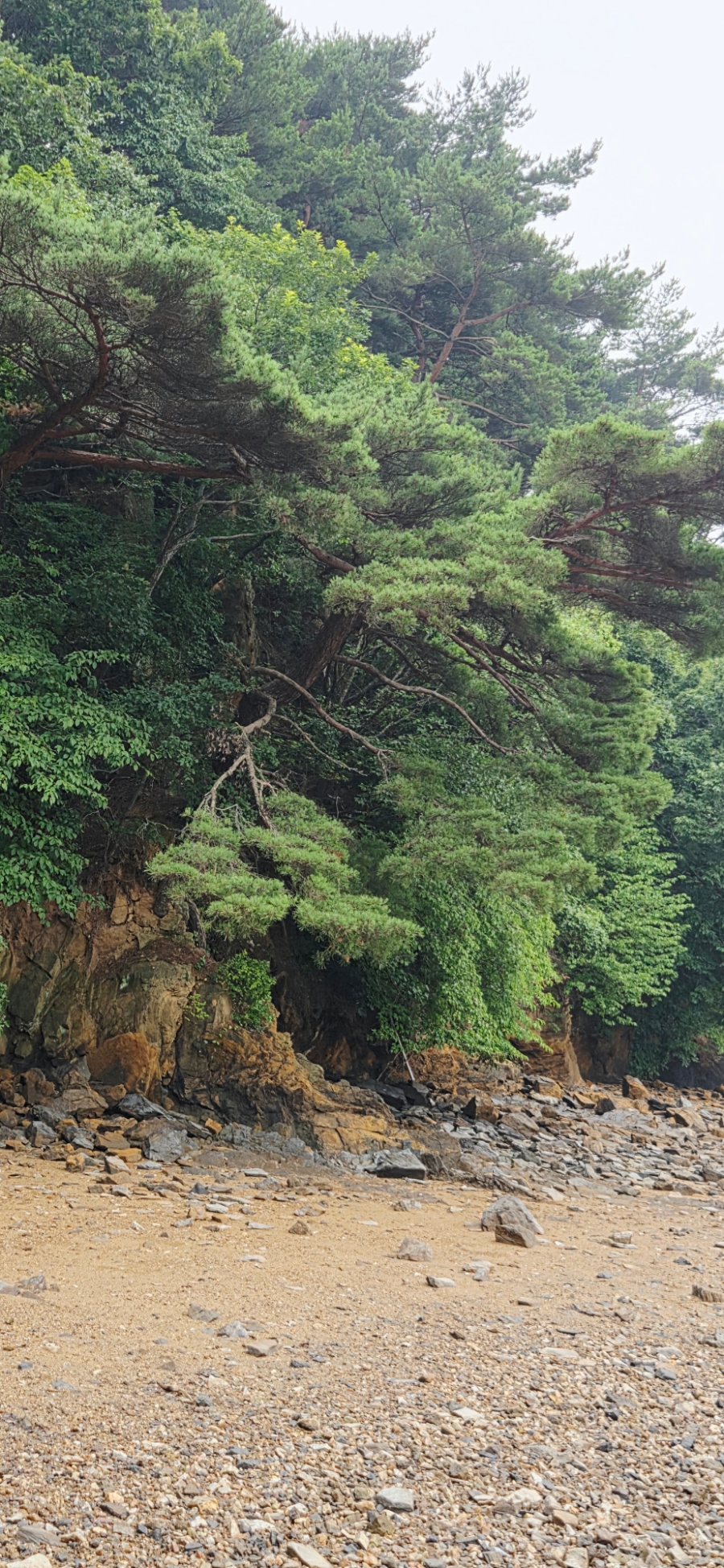 닭섬 사진 5
