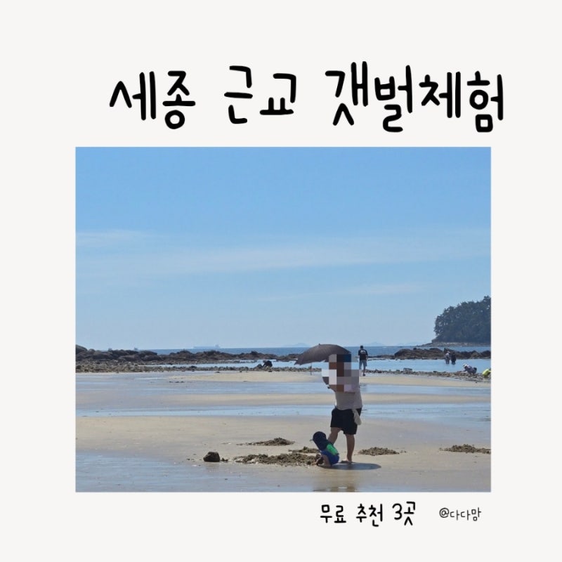 세종에서 가까운 무료 갯벌체험 추천 3곳｜아이와 다녀온 무창포·용두·서천 송림