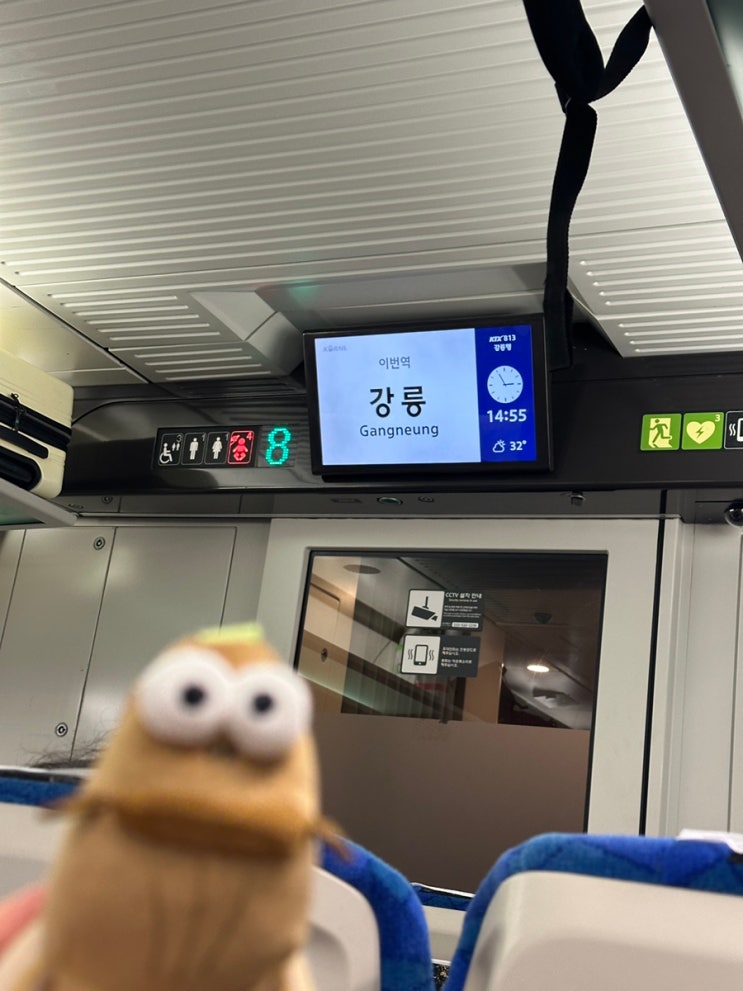 저 오늘 떠나요 <b>강릉</b>으로
