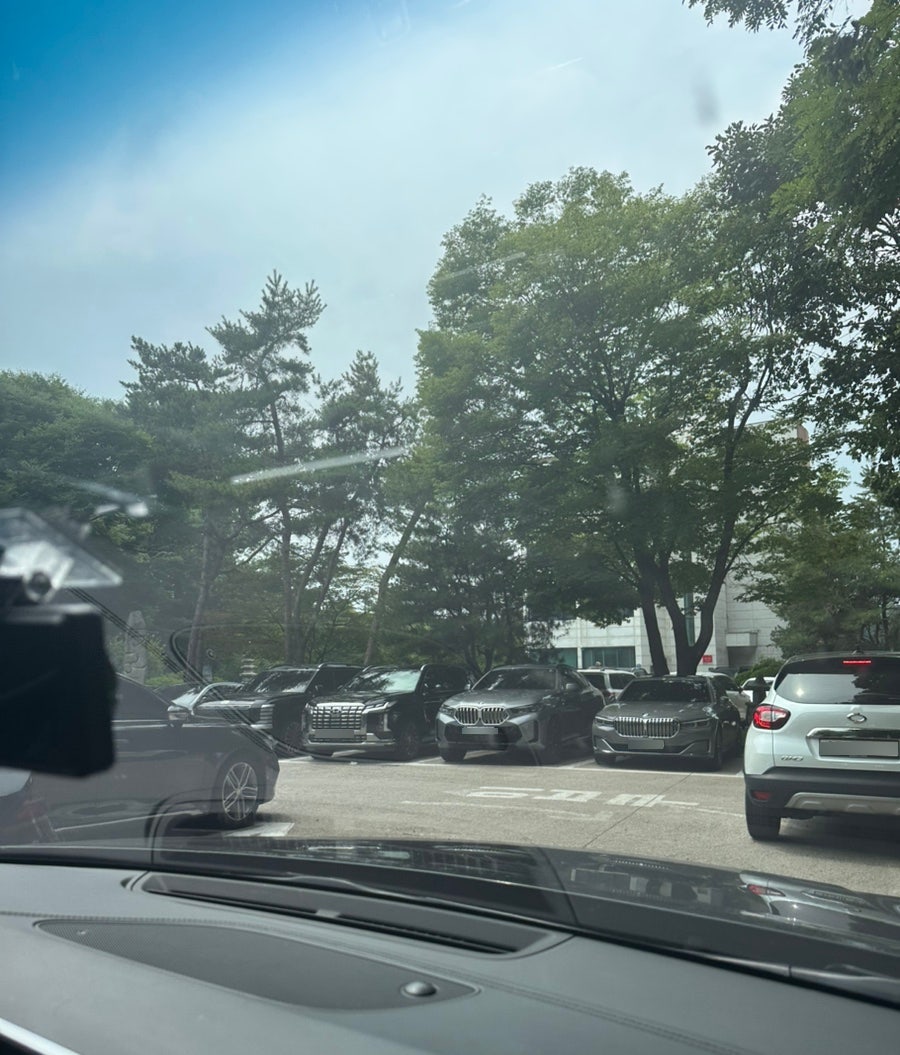 소나무향기 사진 3