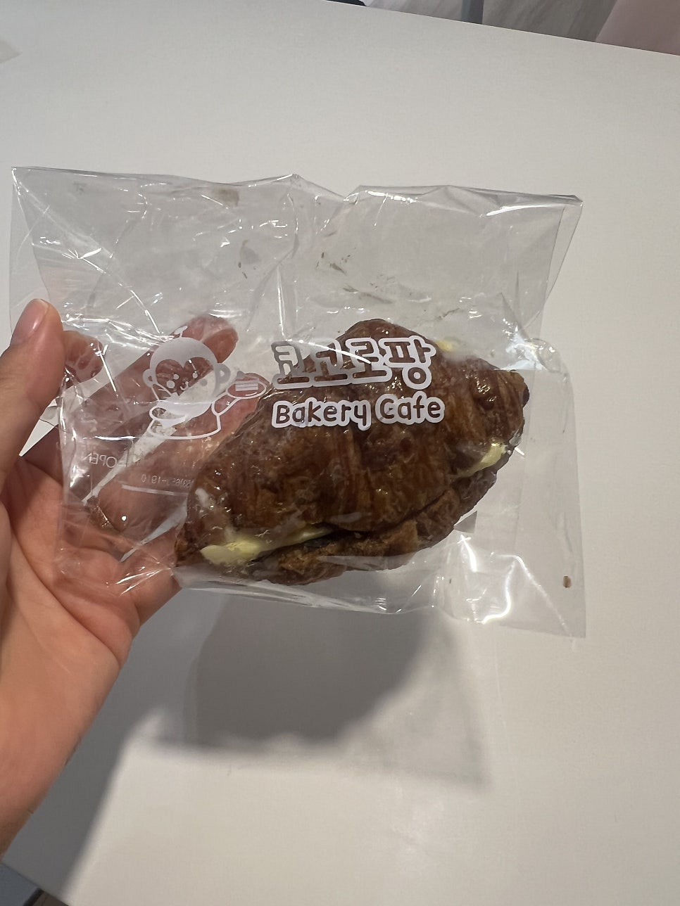 코코로팡 사진 2