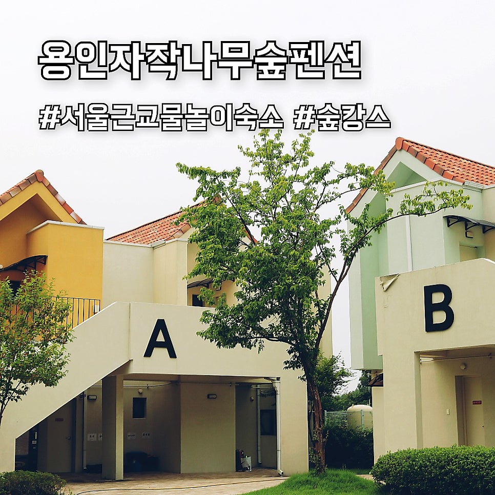용인자작나무숲펜션 사진 1