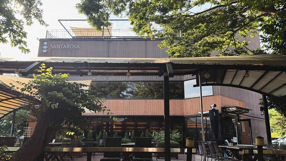 파라디소 페르두또 사진 5