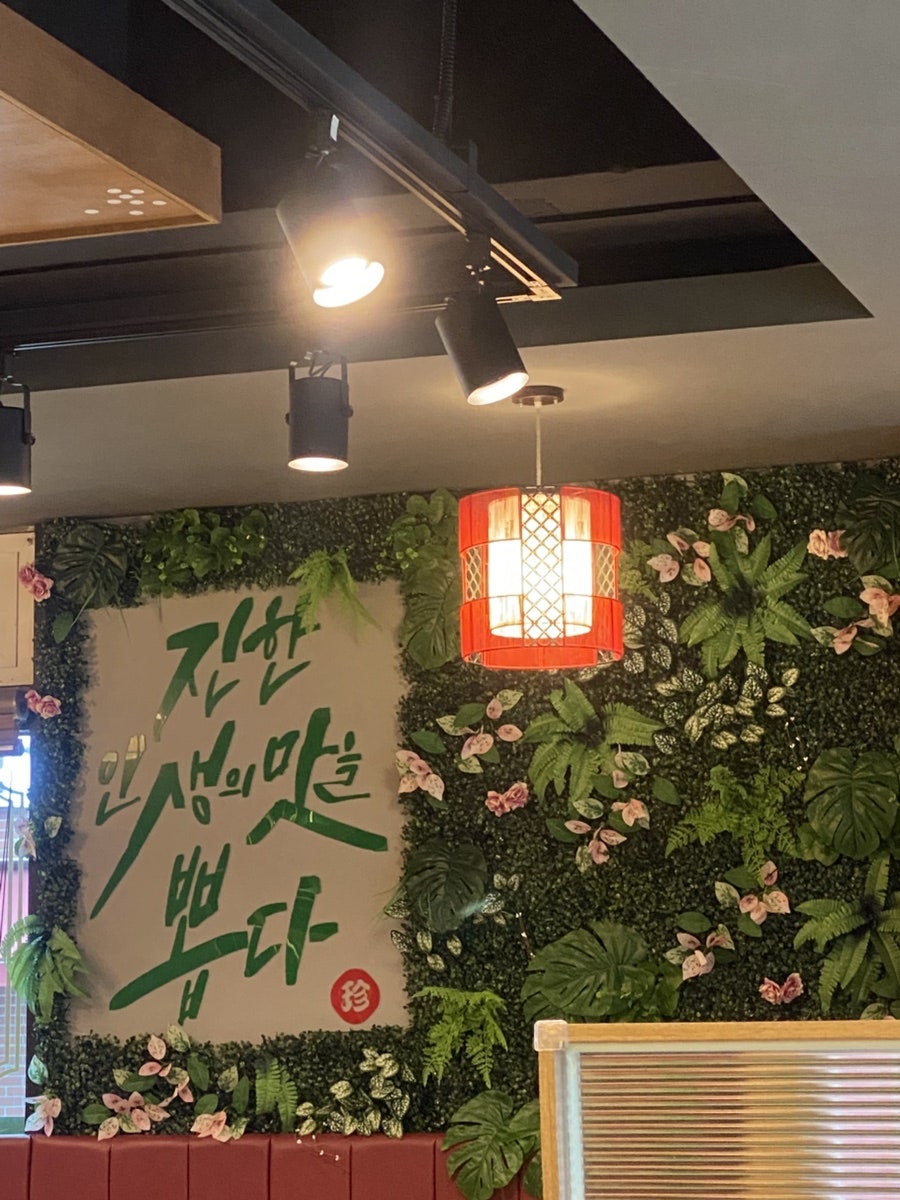 보배 사진 6
