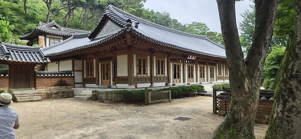 죽림다원 사진 6