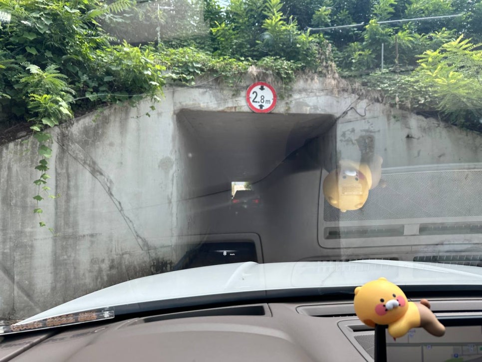 생오리마당 사진 3