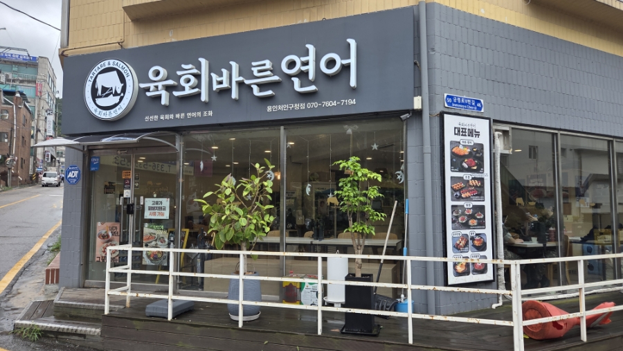 육회바른연어 강남대점 사진 3