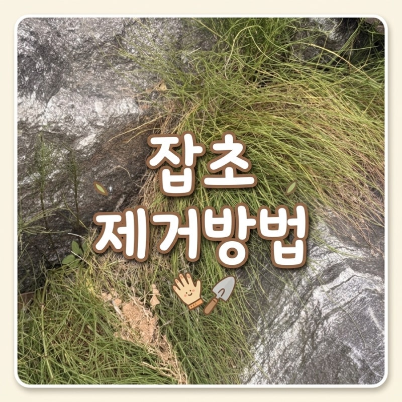 마당 돌틈 잡초 제거 방법: 풀자비 환불하고 근사미 제초제 선택한 이유 (주의사항 총정리)