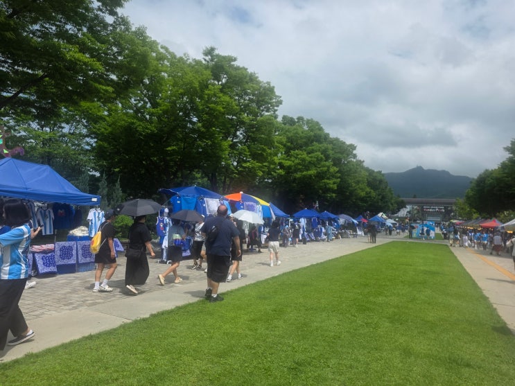 2026 싸이 흠뻑쇼 Summerswag: 과천2공, <b>강남스타일</b>, <b>60억뷰</b>