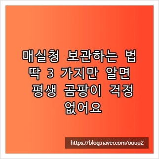 매실청 보관하는 법, 딱 3 가지만 알면 평생 곰팡이 걱정 없어요