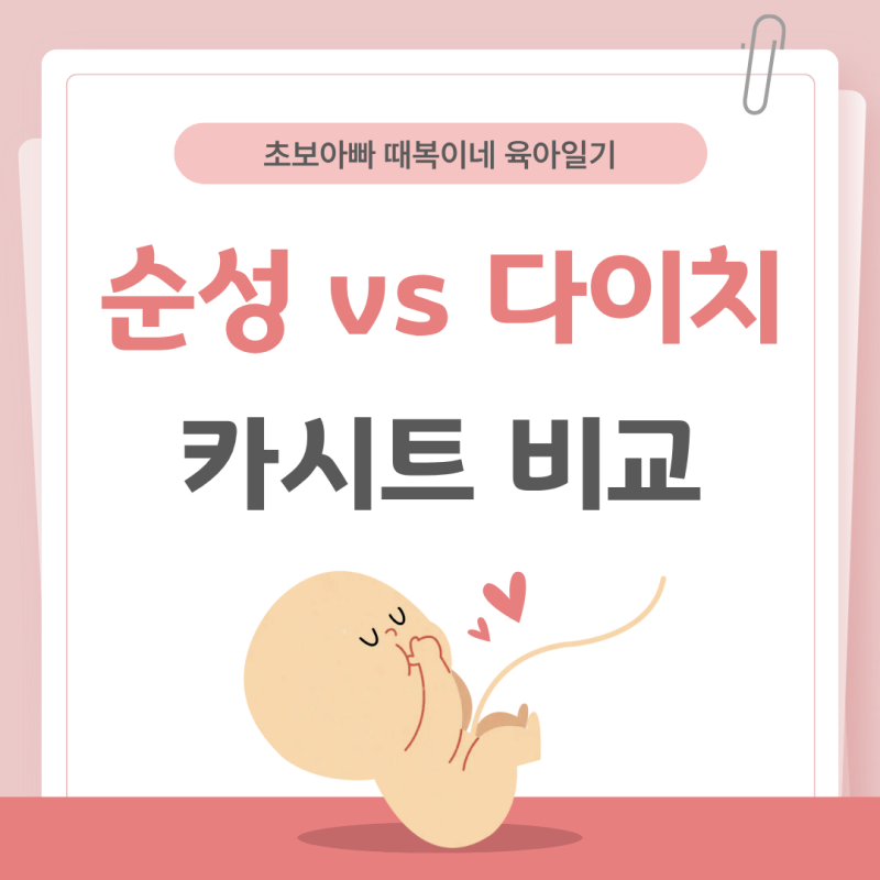 순성 vs 다이치 카시트 차이점 비교! (영유아·주니어·휴대용 완벽정리)_충남 카시트 지원정....