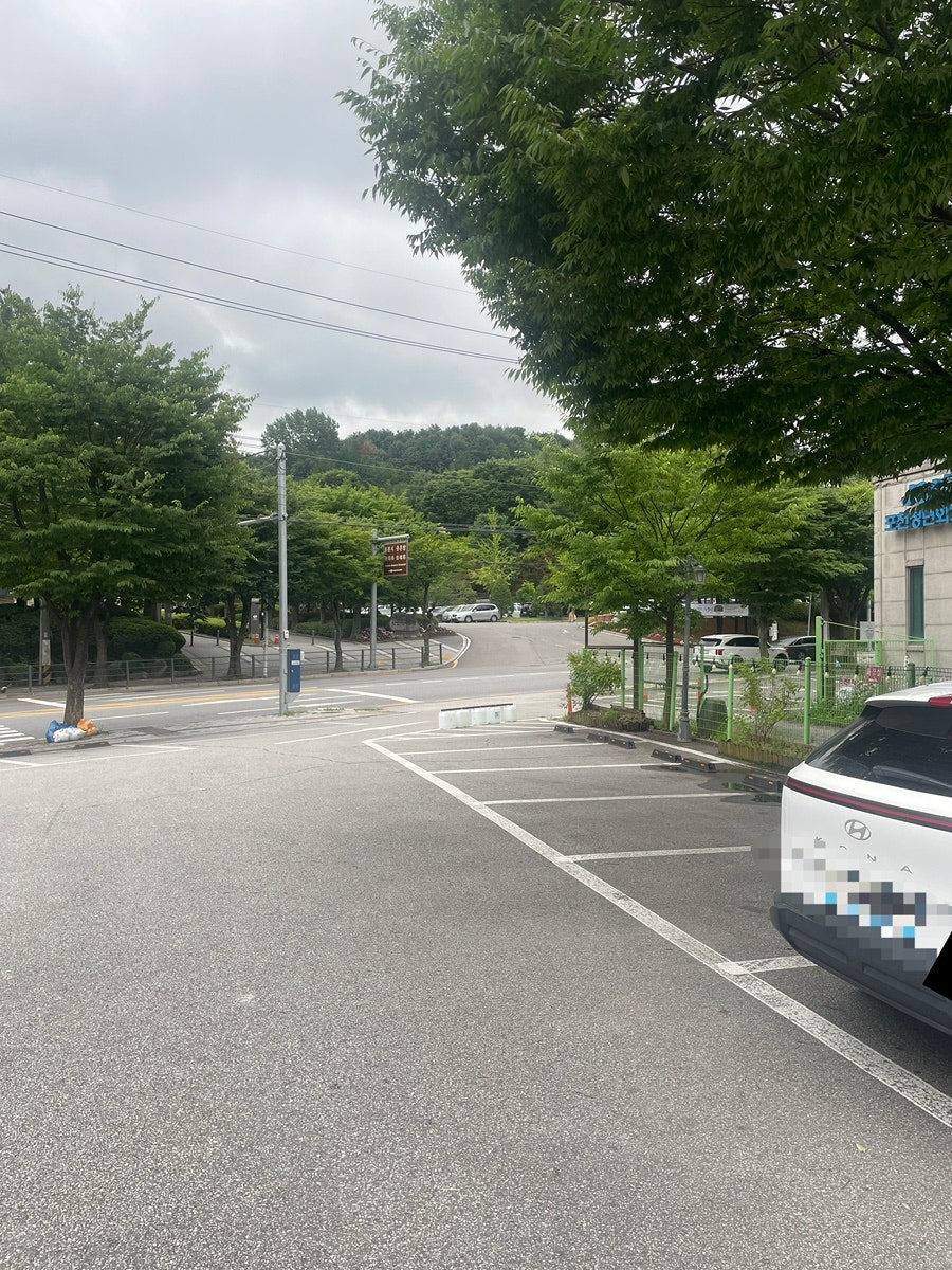 모내기 사진 4
