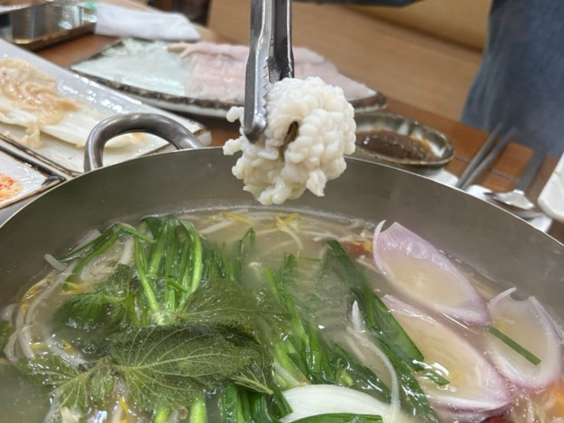 [광주] 나루터 하모샤브샤브 | 여름보양 맛집 유비끼가 아름다운 맛의 향연