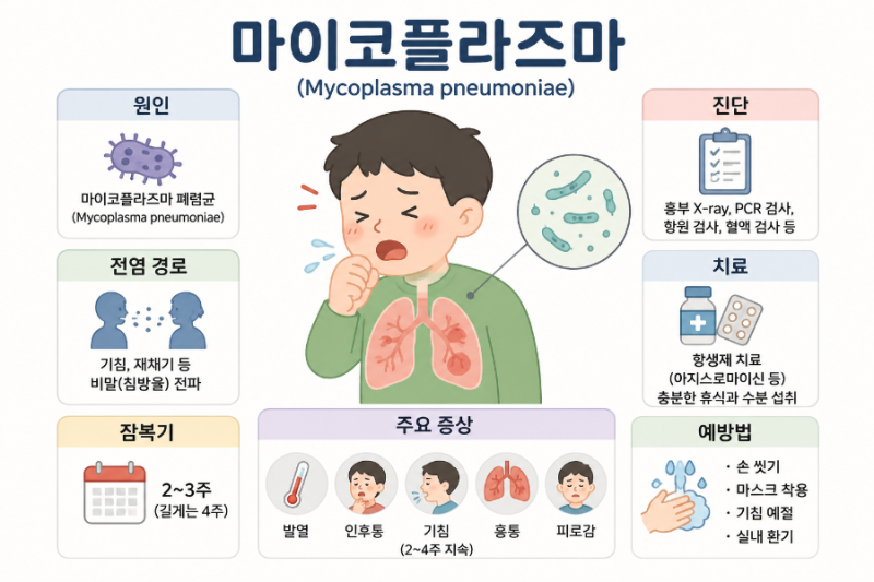 "2주 넘게 기침이 계속된다면?감기인 줄 알았는데..." 요즘 아이들에게 많이 발생하는 '마이코....