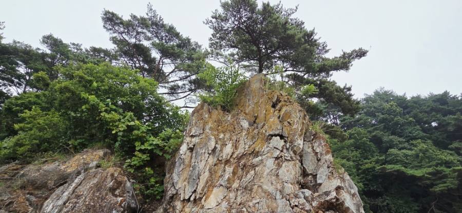닭섬 사진 3