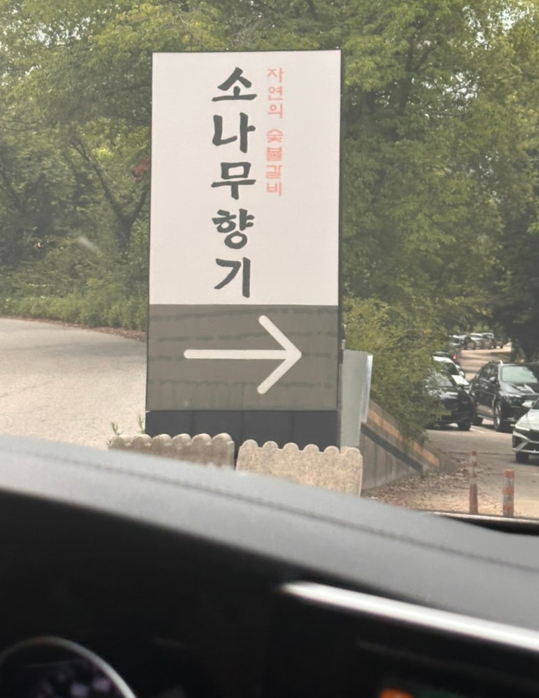 소나무향기 사진 2