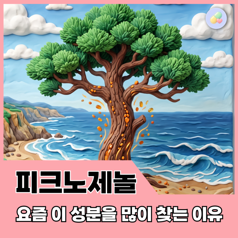 피크노제놀 효능 총정리 : 약사들이 자꾸 권하는 이유가 뭘까요?
