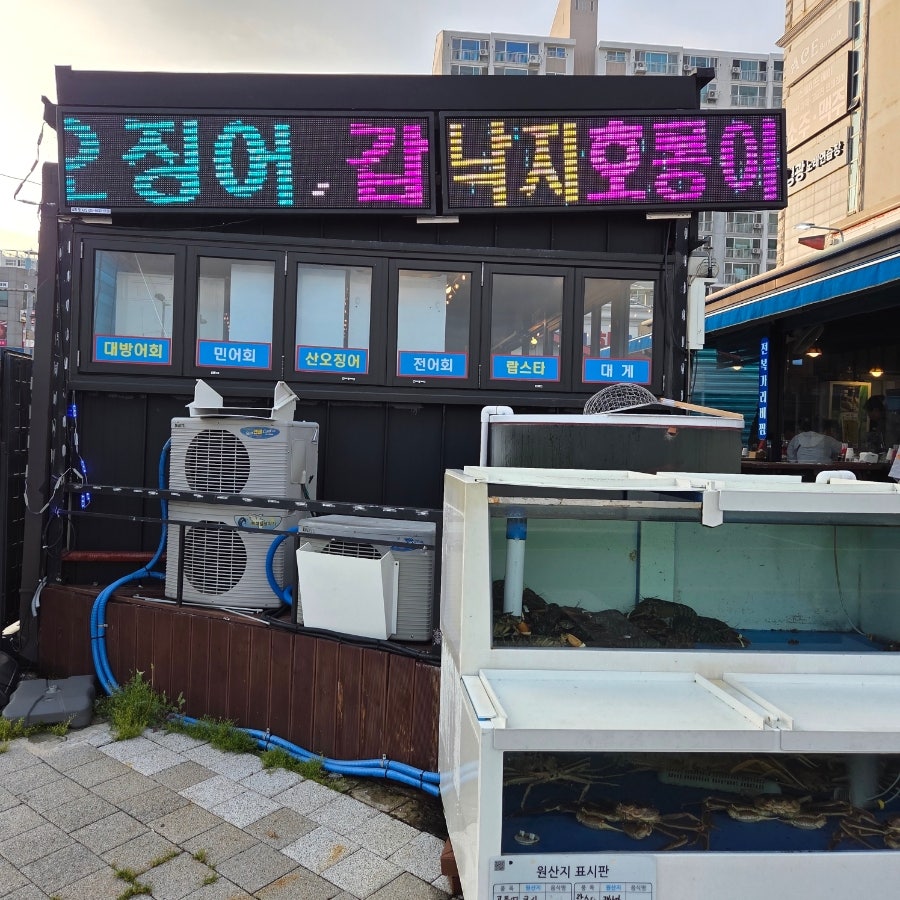 본전회수산 사진 2