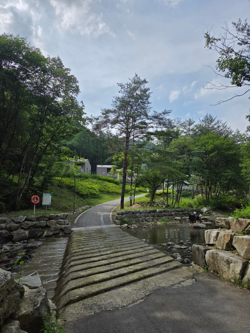 [강원도 여름 휴가지 추천] 인제 갯골자연휴양림의 계곡 물놀이 포인트와 오토캠핑 B구역 및....