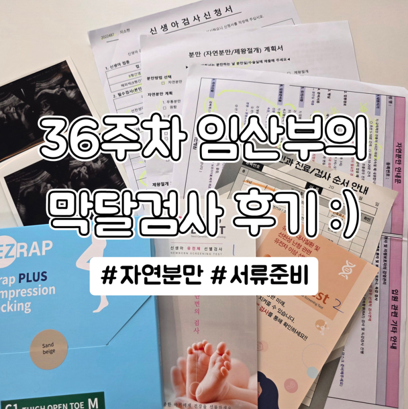 [임신 36주차] 막달검사 하고 온 후기 | 자연분만 기준 병원 서류, 입원 준비물 리스트 | 33주 vs....