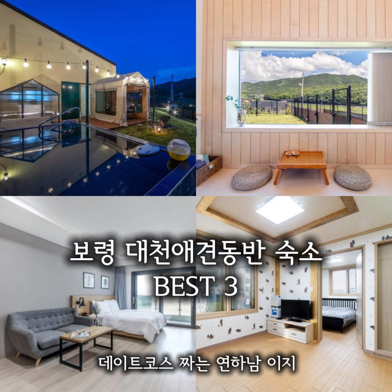 보령 머드축제 대천애견동반 숙소 BEST 3 가격 규정 총정리