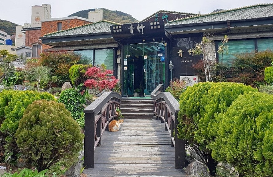 청죽 사진 1