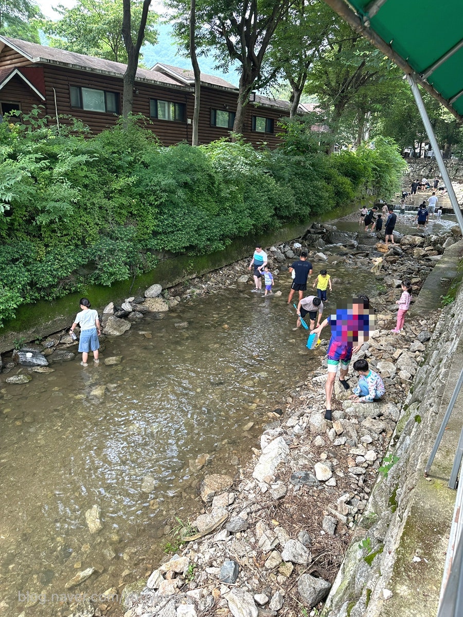돌고개늘품 사진 4