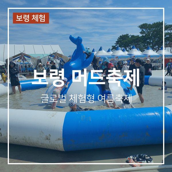 2026 보령 머드축제 기본정보 입장료 및 예매 체험 후기