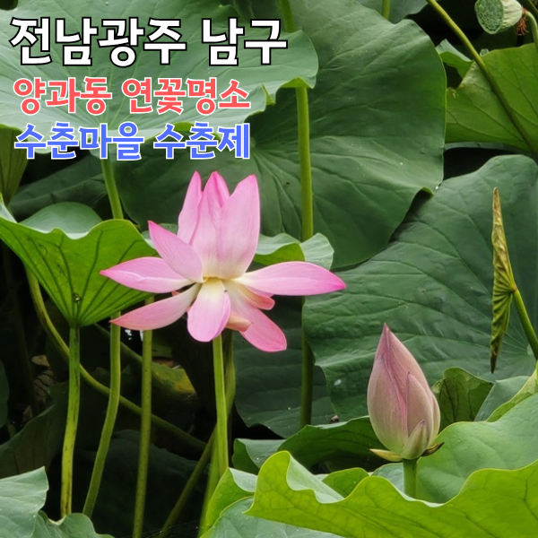 수춘제 사진 1