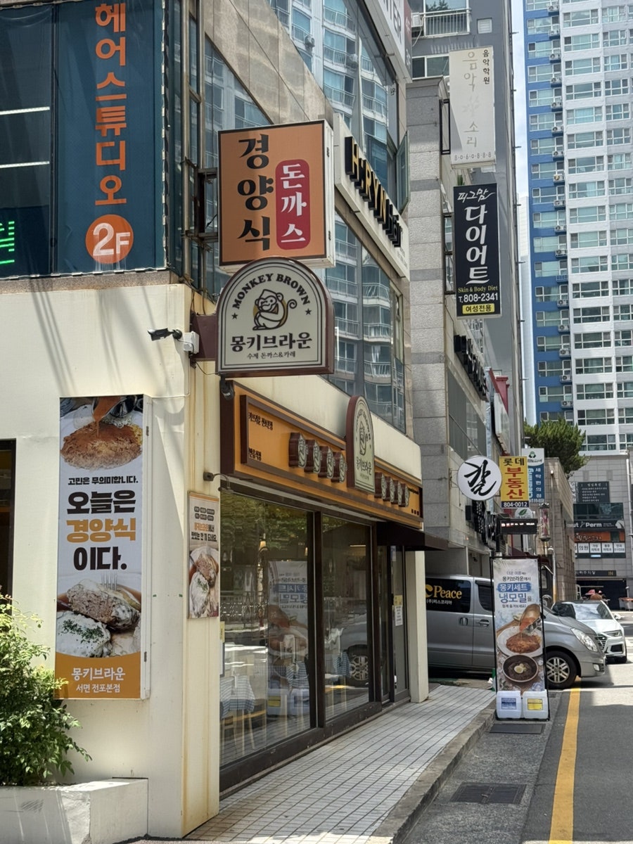 몽키브라운 사진 5