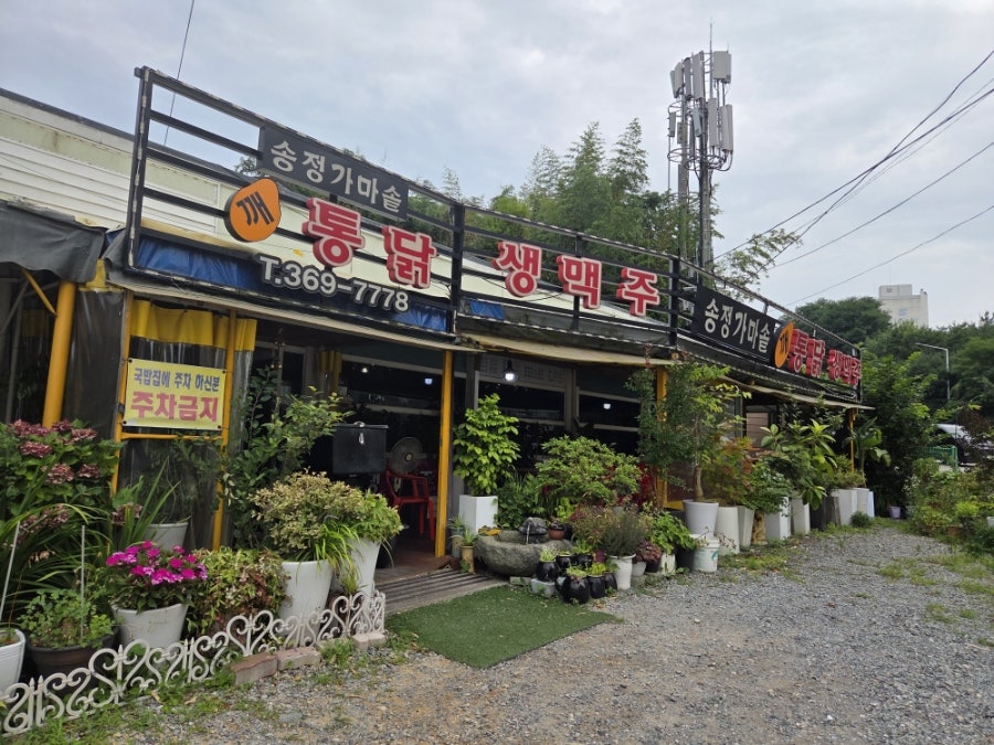 송정가마솥깨통닭 사진 2