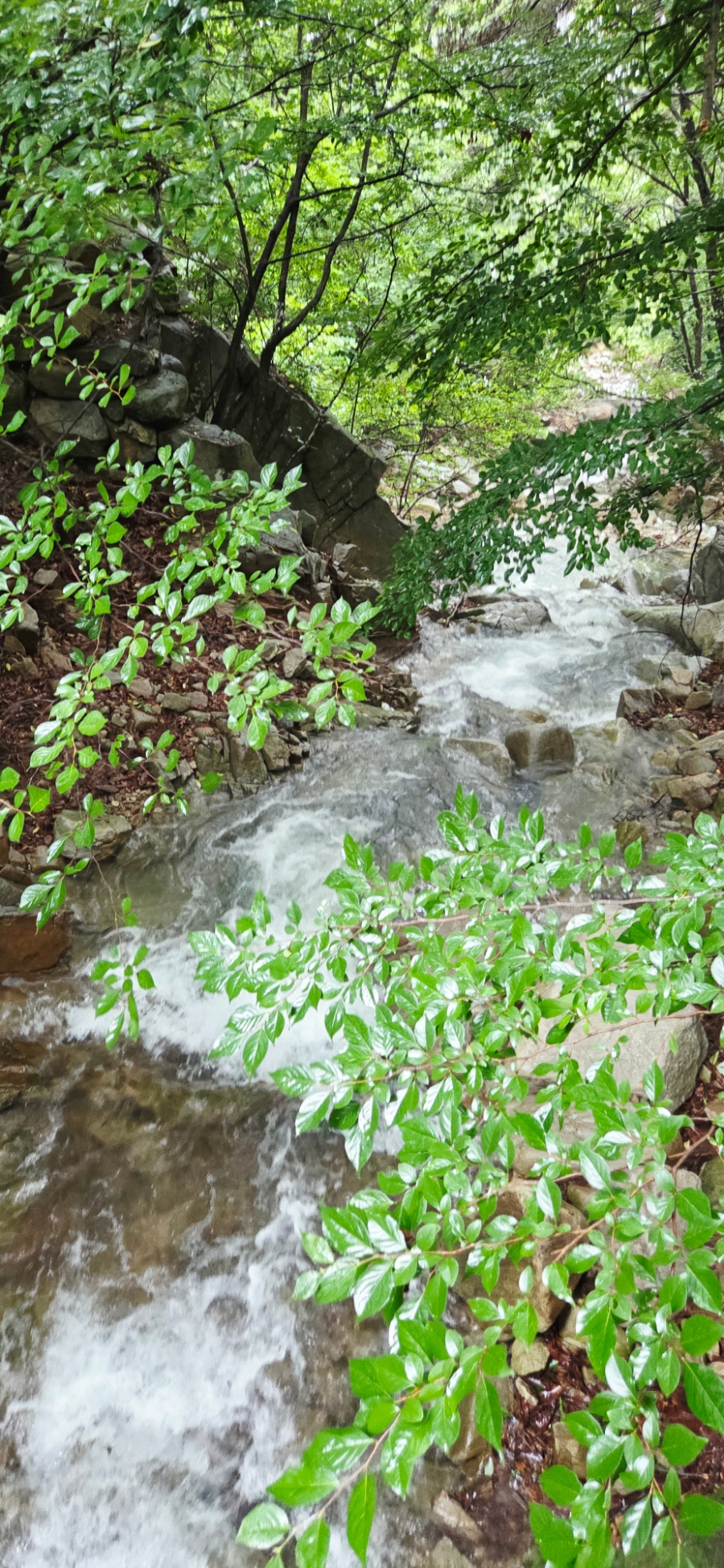 가야산 사진 8