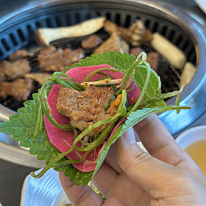 당진 수청동 맛집 솔가숯불갈비 당진점 가족외식 회식장소 추천