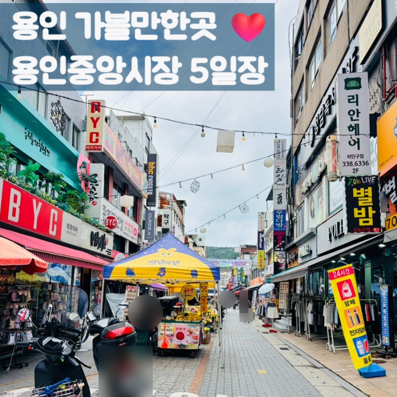 용인 가볼만한곳 용인중앙시장 5일장 제철과일 볼거리 먹거리 솔직후기